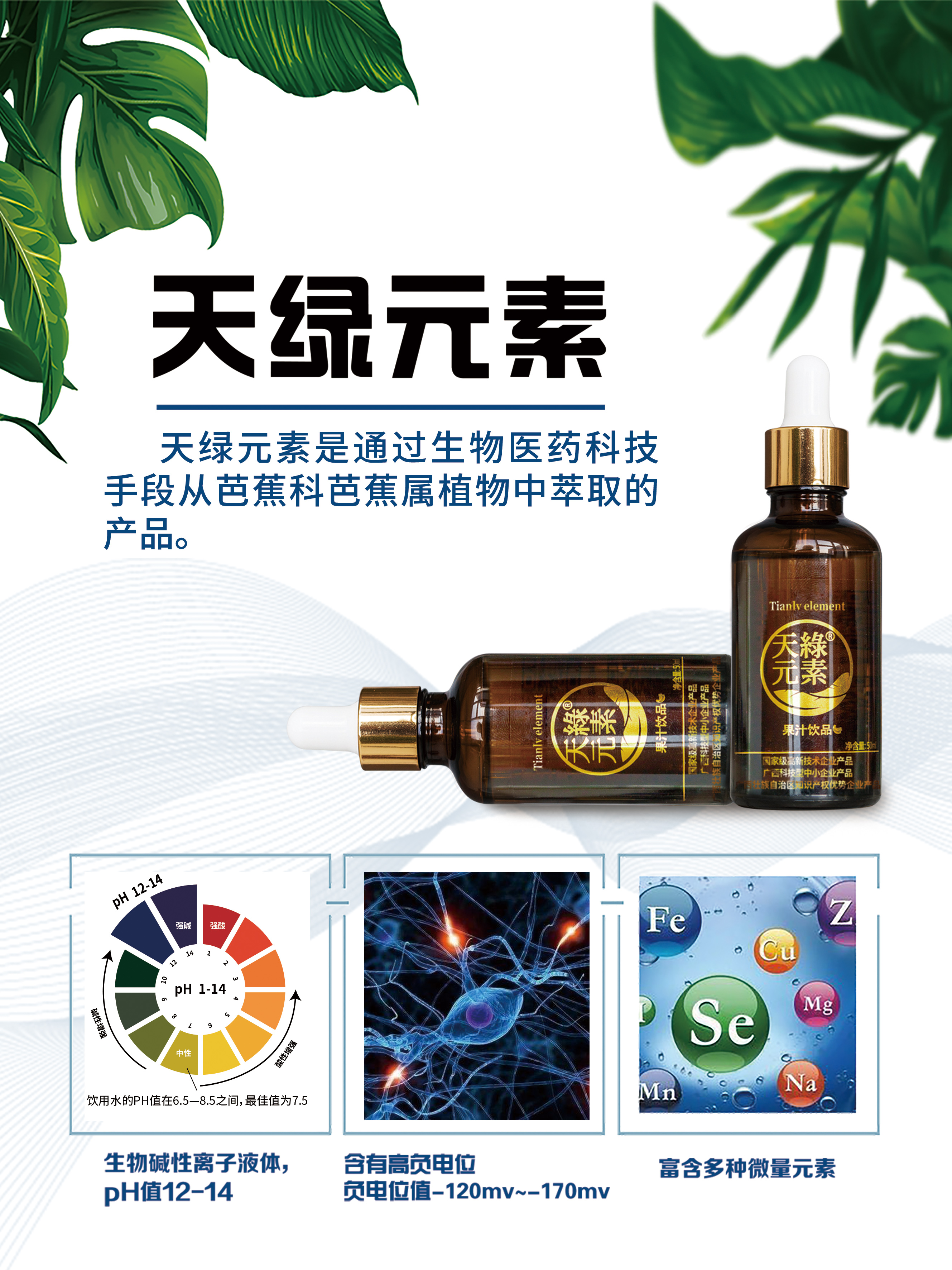 产品海报1-天绿元素45x60.jpg